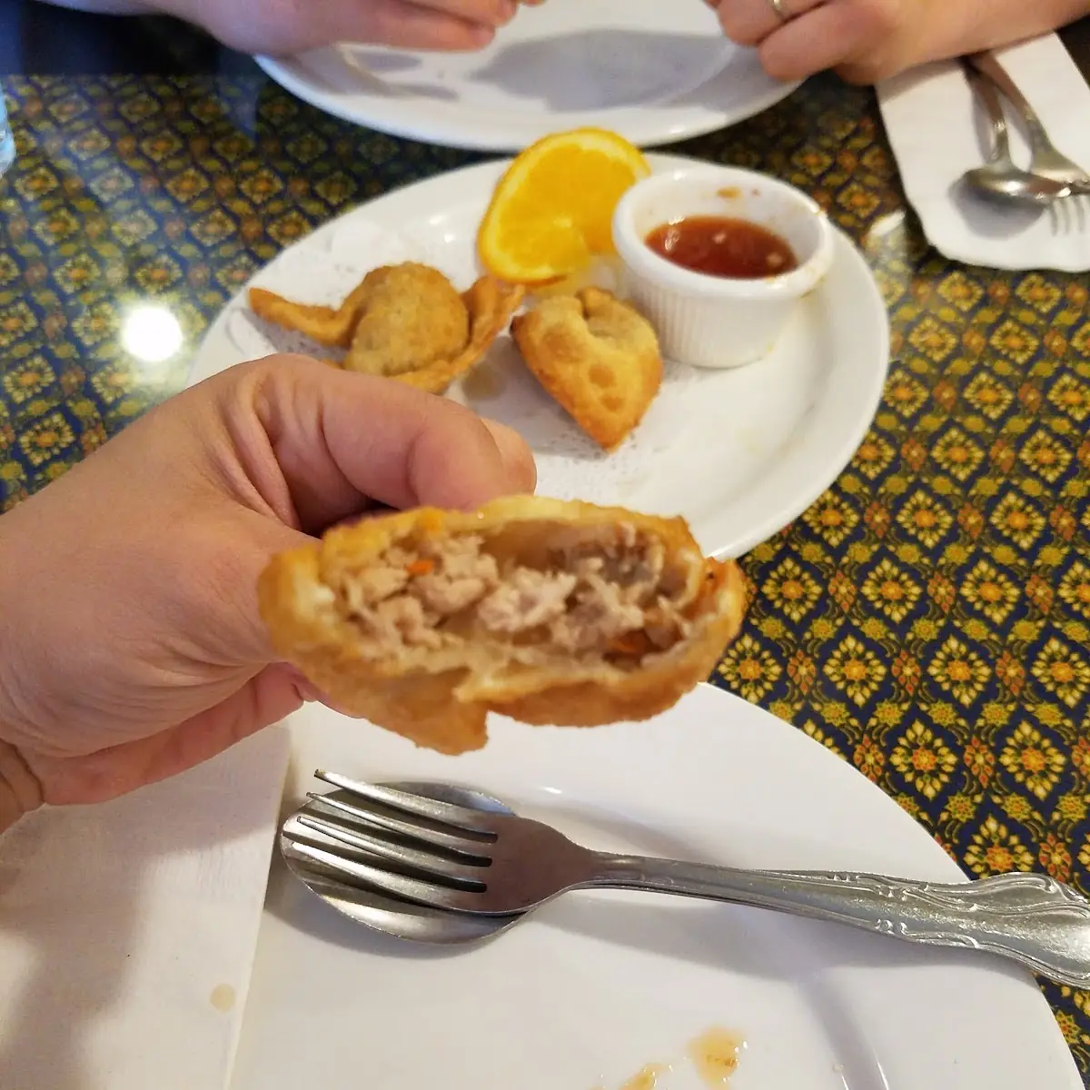 Pork Dumplings