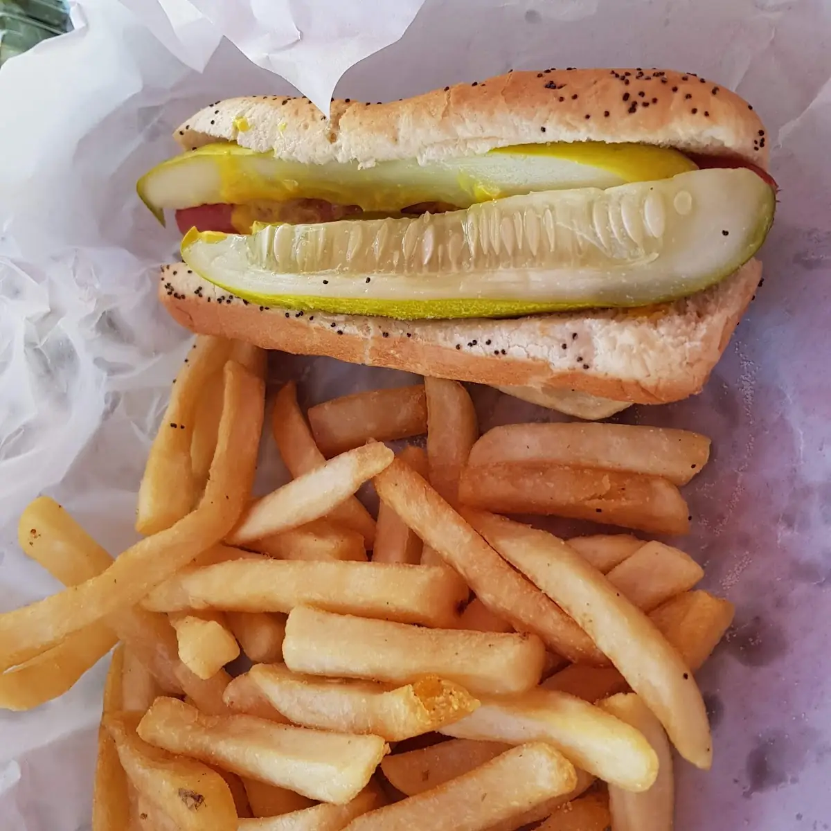 Hot Dog with Fries