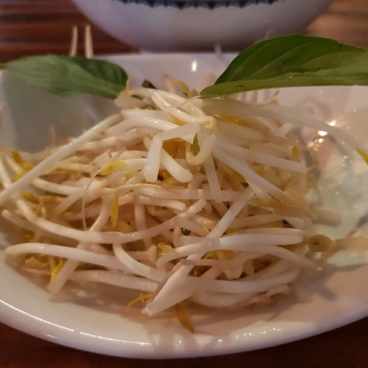 Bean Sprouts, Pho Fresh