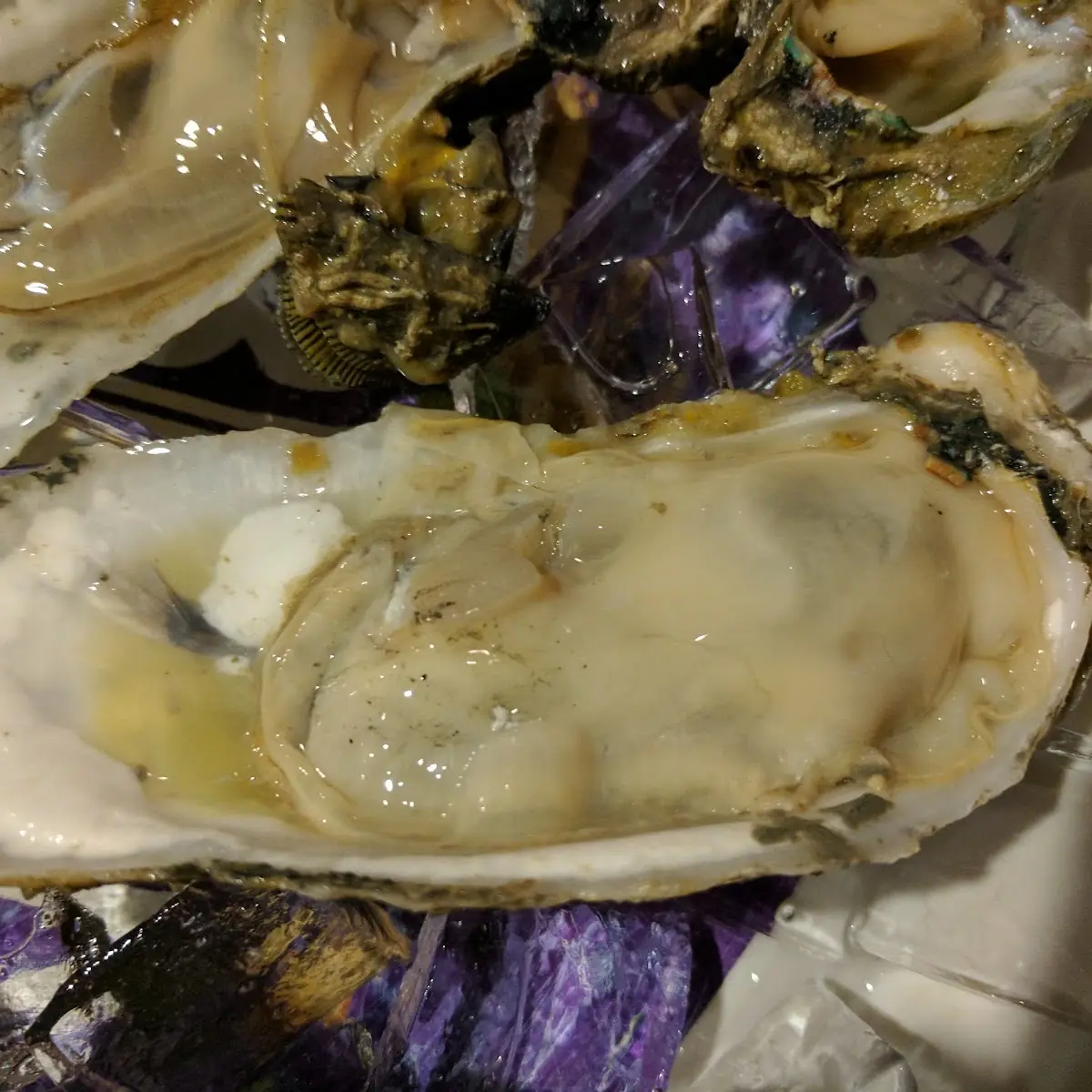 Oysters on the Half Shell