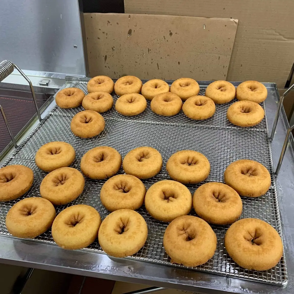 Doughnut