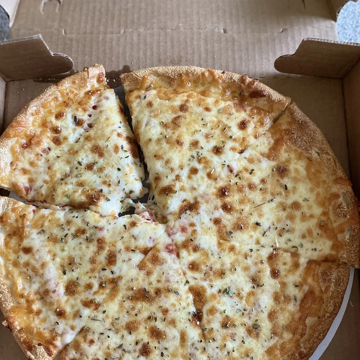 Vegetarian Pizza S