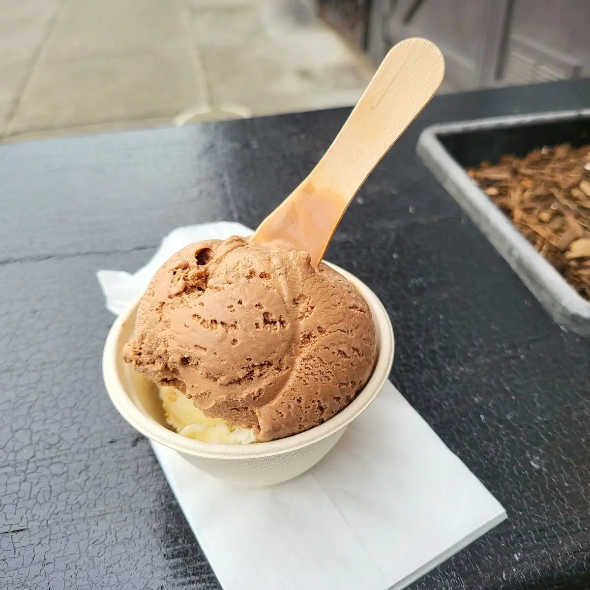 Dark Chocolate Sorbet Vegan