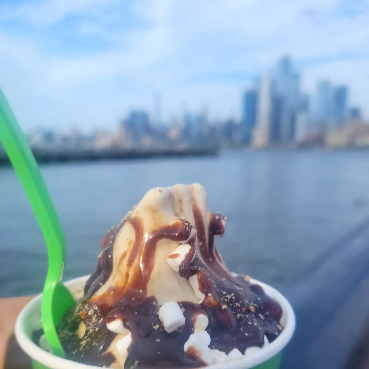 Frozen Yogurt