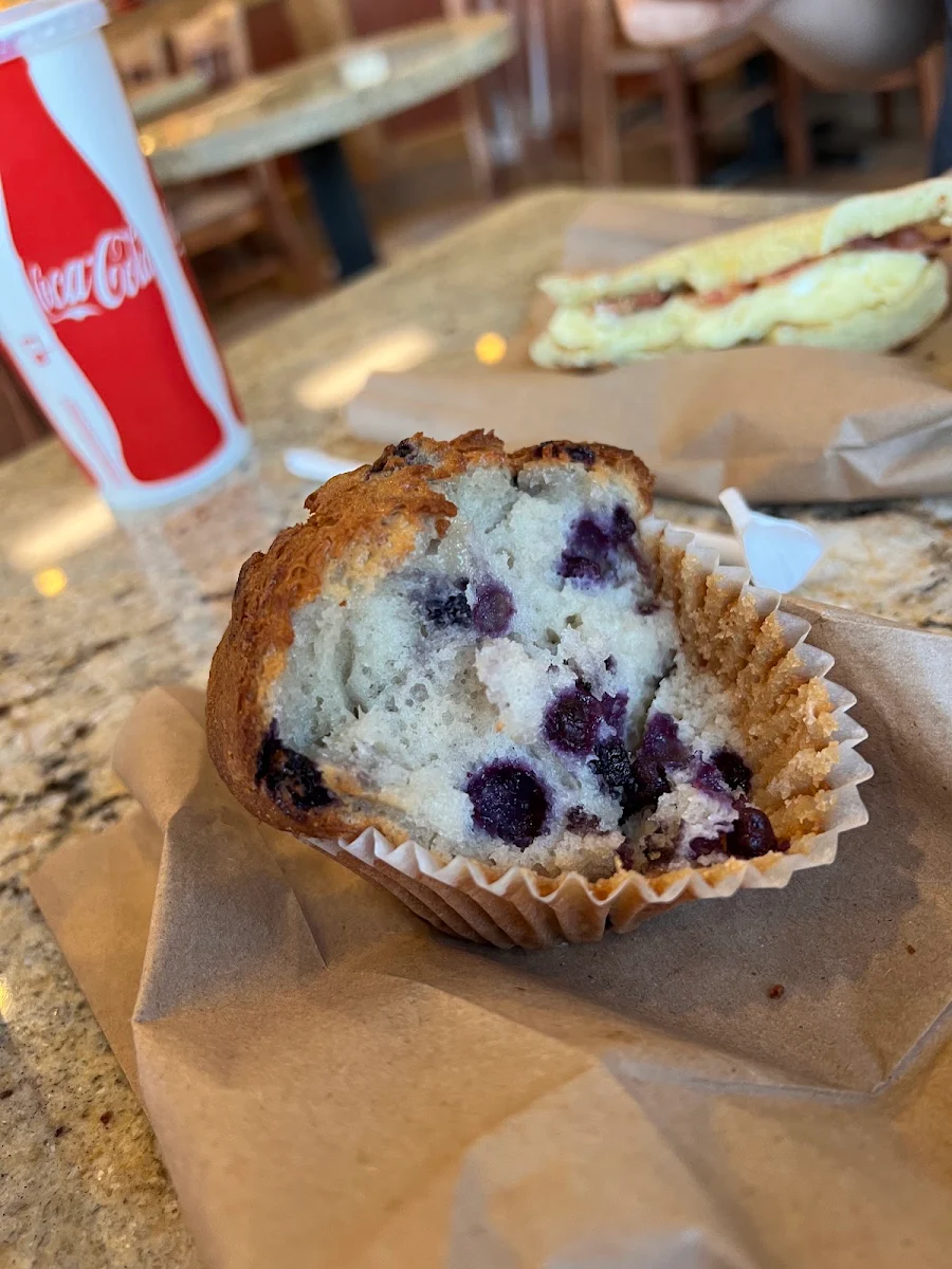 Blueberry Muffin