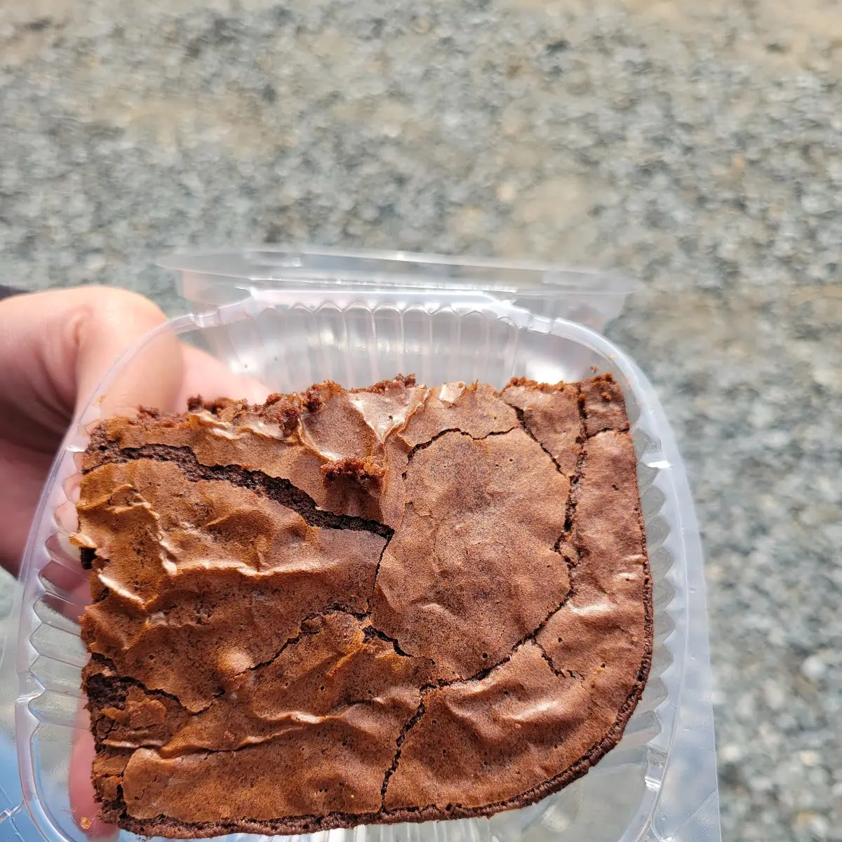 Chocolate Brownie