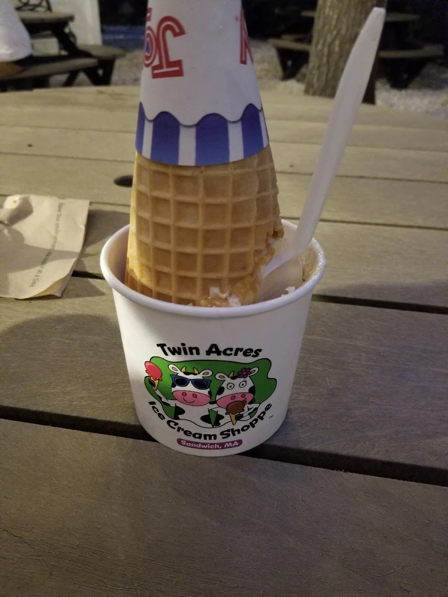 Frozen Yogurt