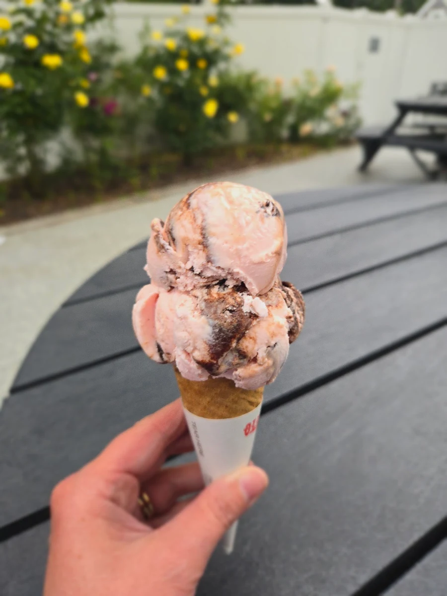 Raspberry Chocolate Ice Cream