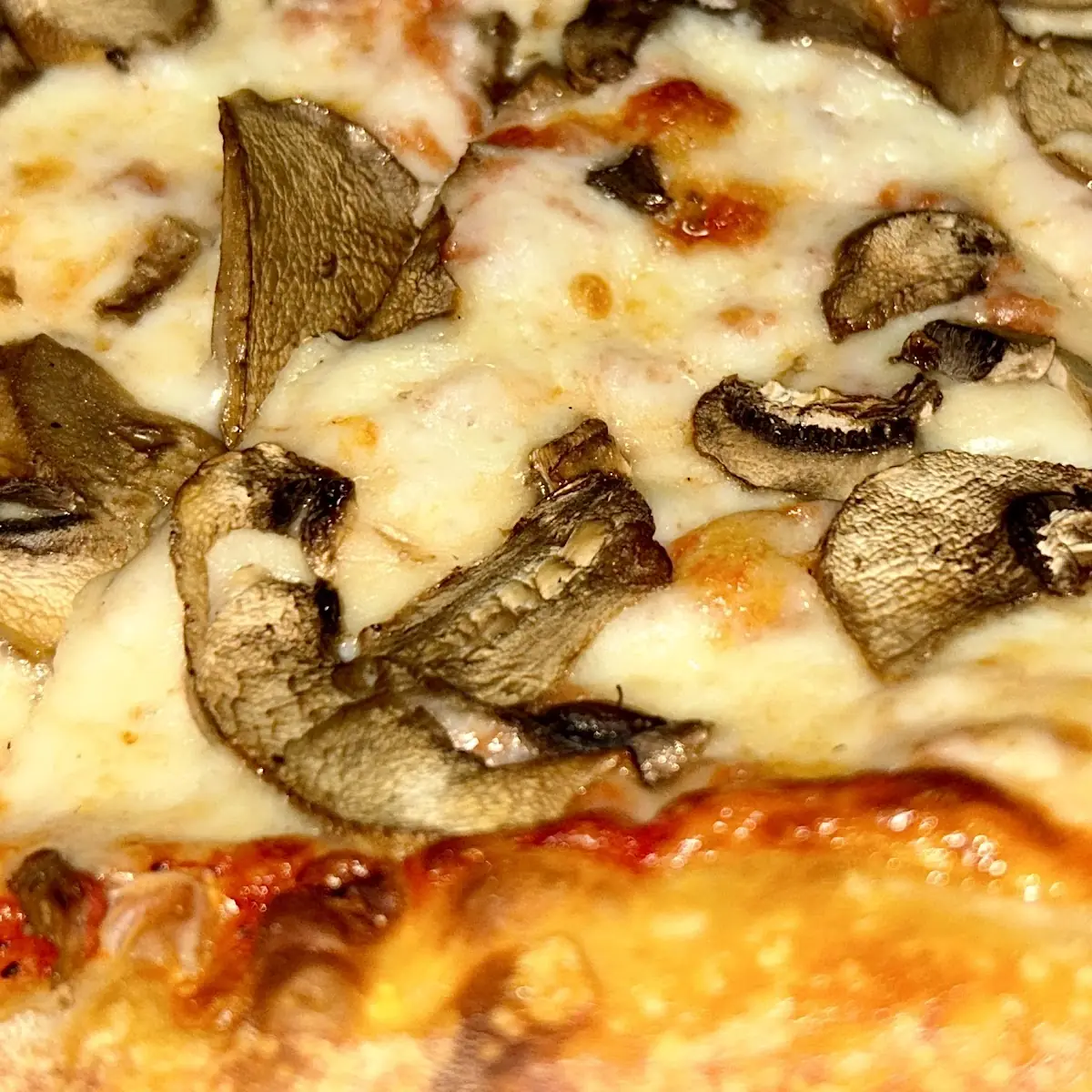 Mushroom Pizza