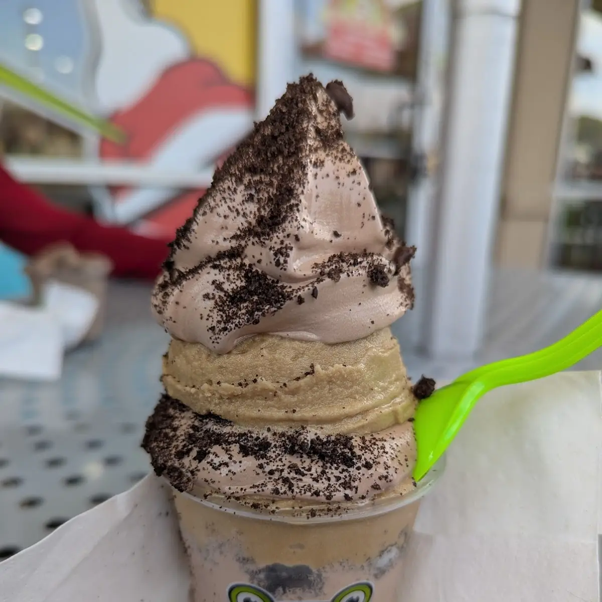 Chocolate Sea Salt Caramel Ice Cream