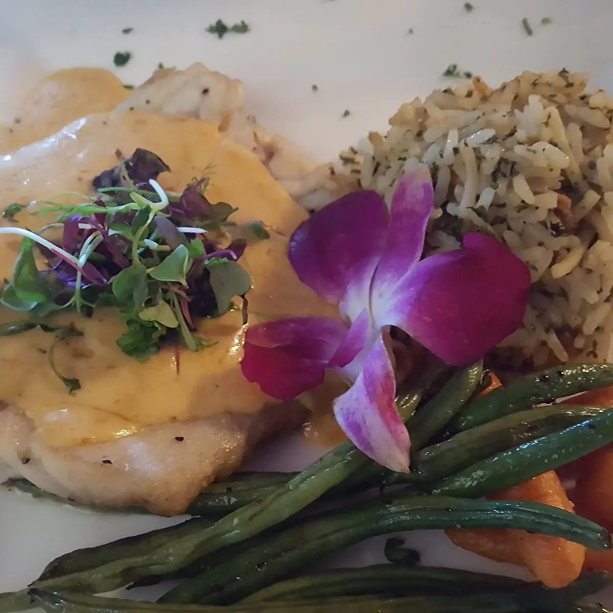 Sea Bass