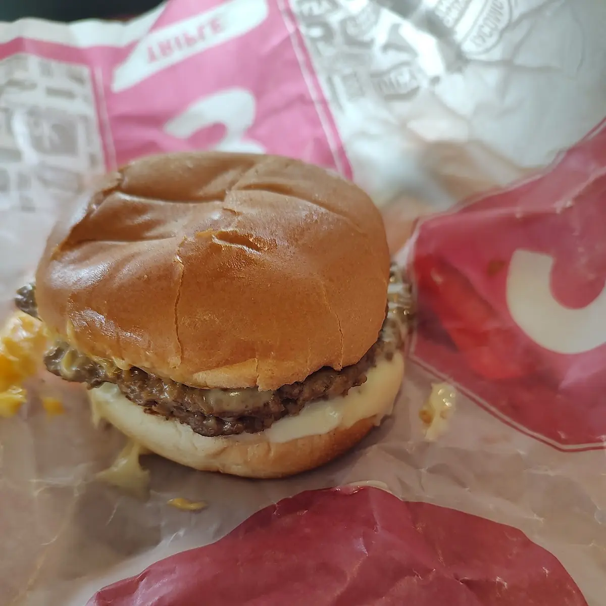 It Was Called the Double Bacon Cheeseburger I Do not Recommend