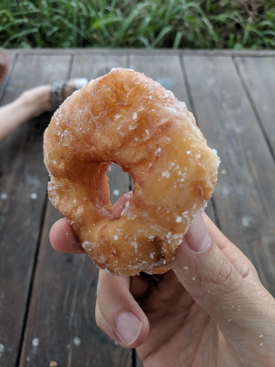 Doughnut