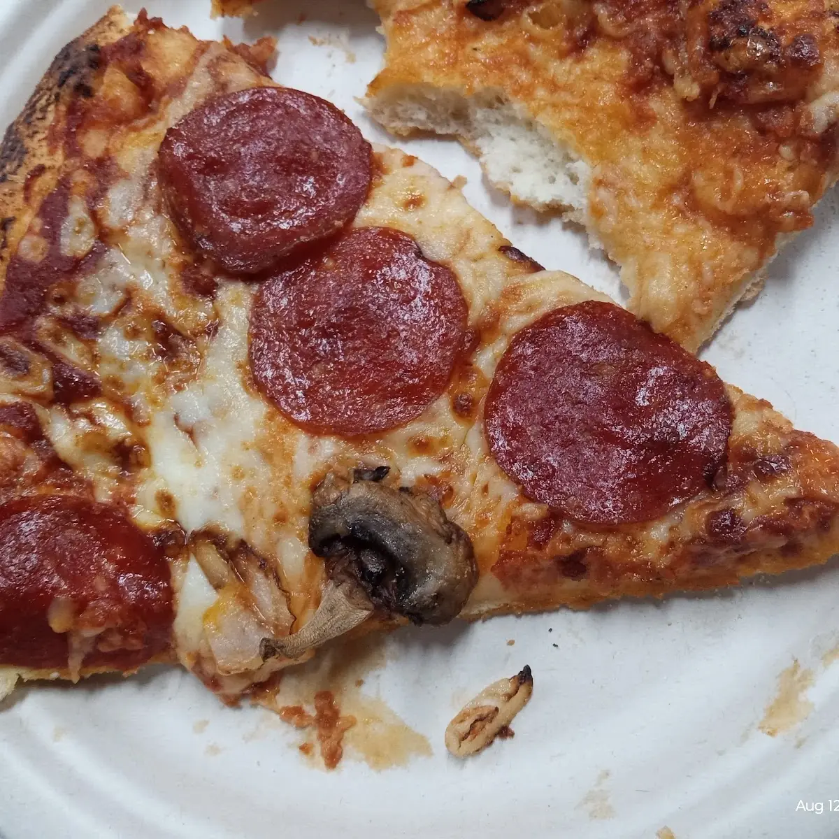 Pepperoni Mushroom Pizza