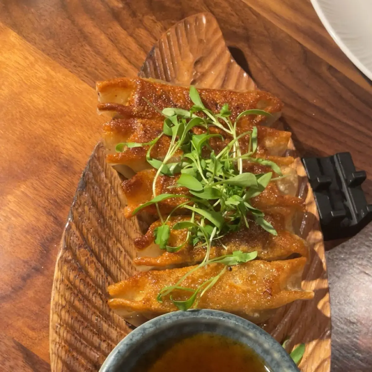 Wagyu Gyoza