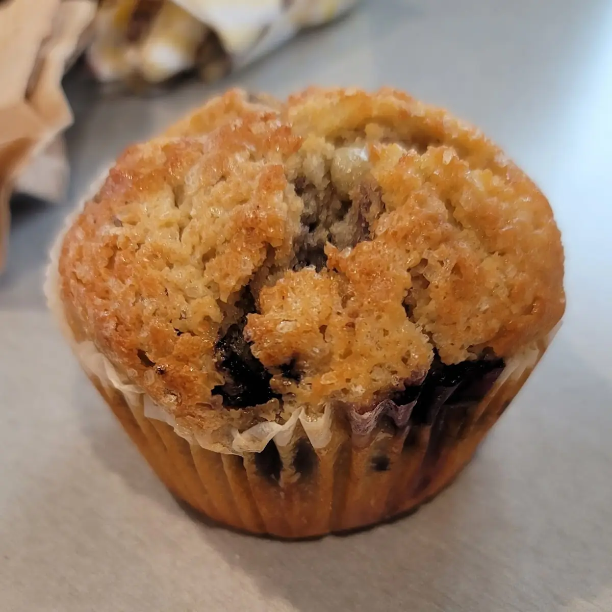 Blueberry Muffin