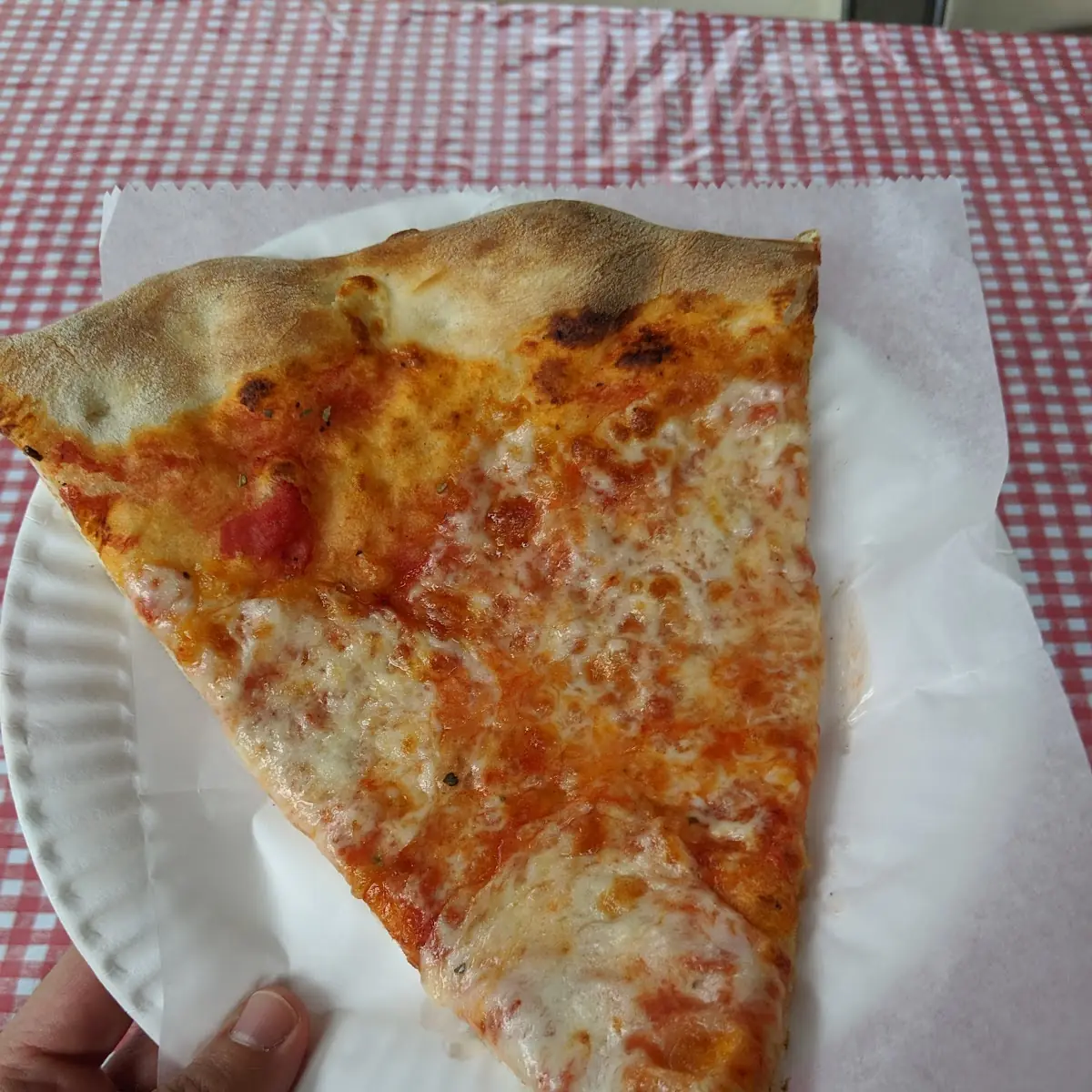 Pizza Slice