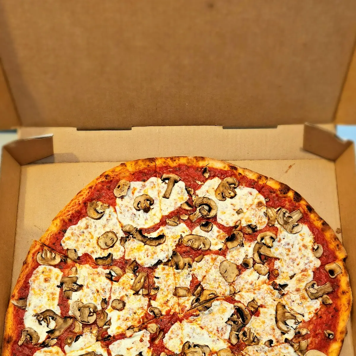 18 Mozzarella and Mushroom Pizza