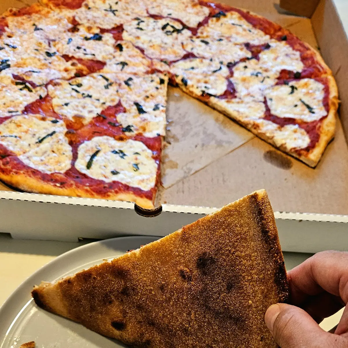 Margherita Pizza Slice