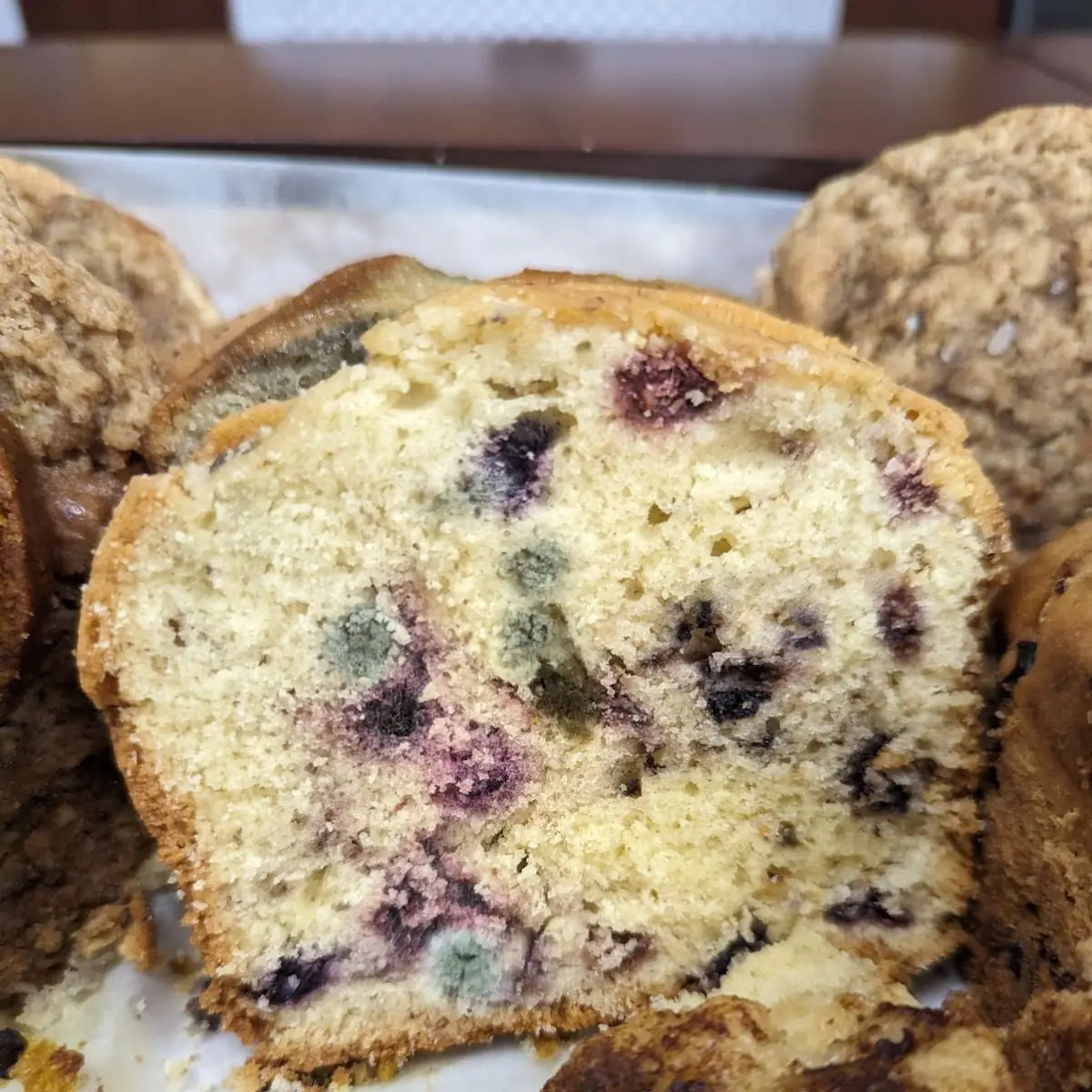 Blueberry Muffin
