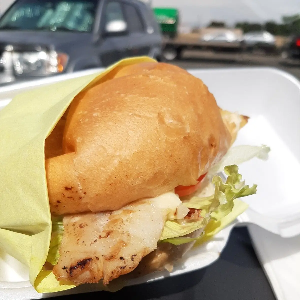 Fish Sandwich Grilled
