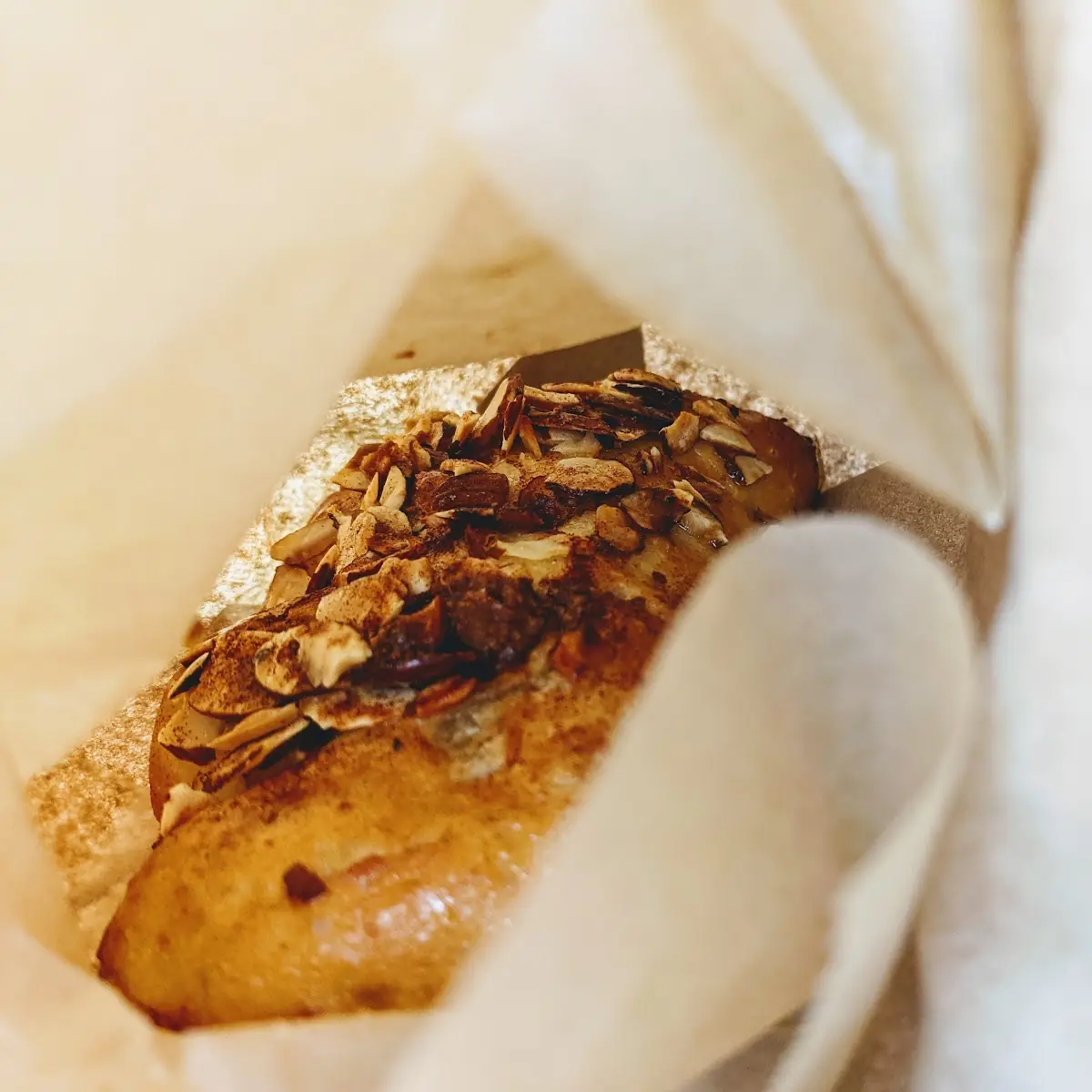 Bear Claw