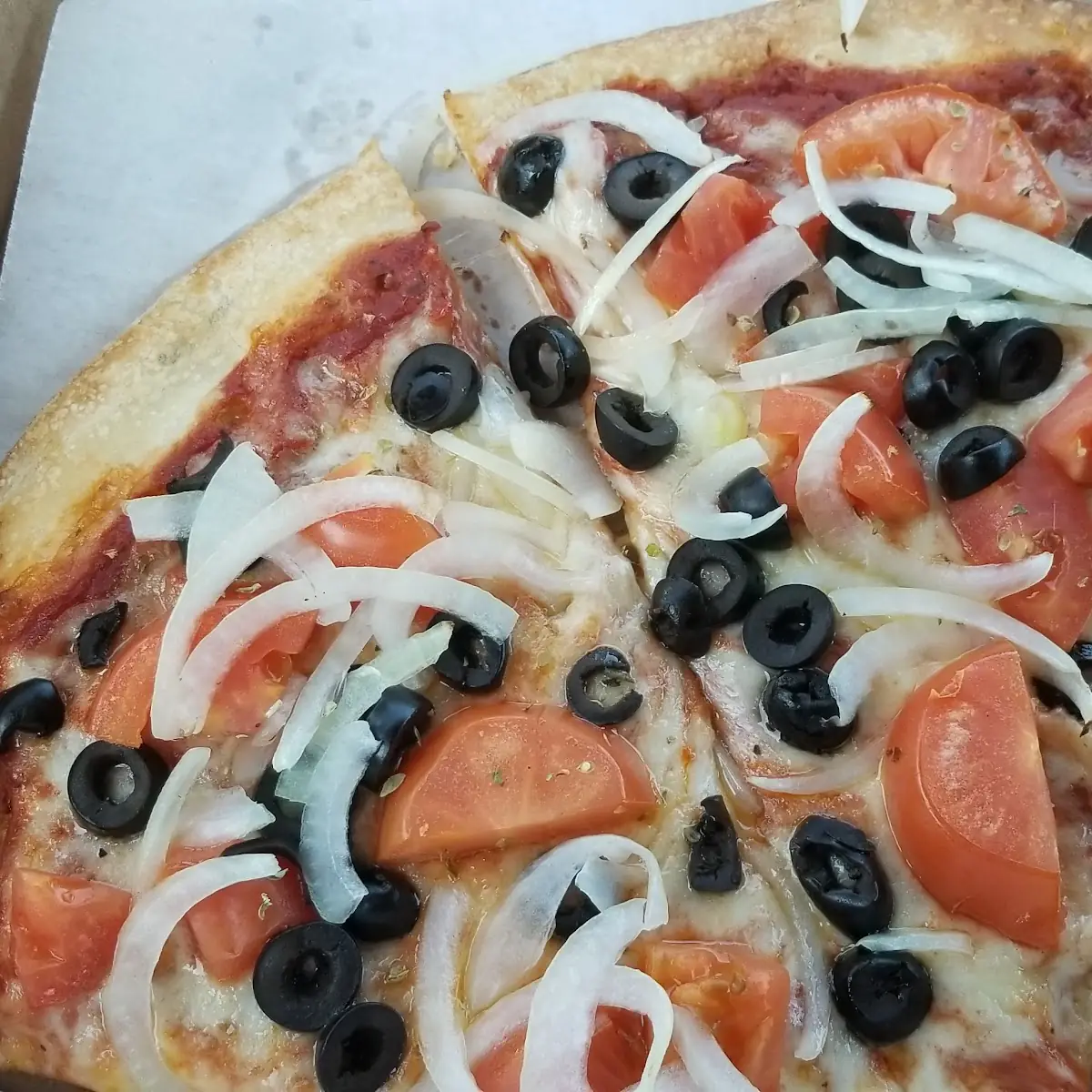 Tomato Onion Olive Pizza
