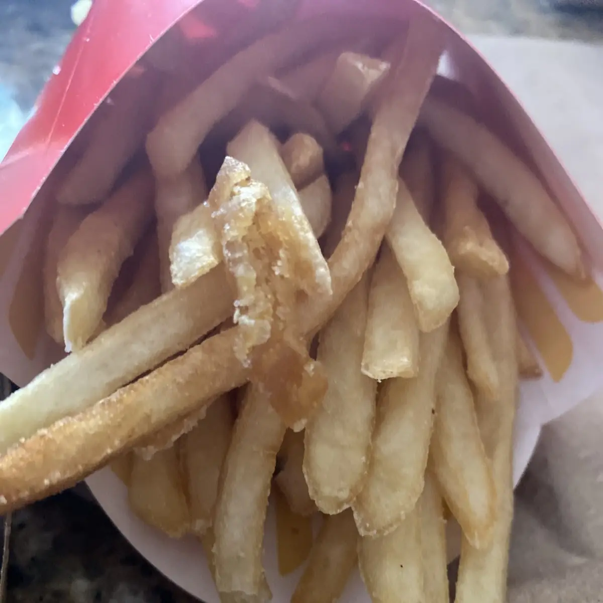 World Famous Fries