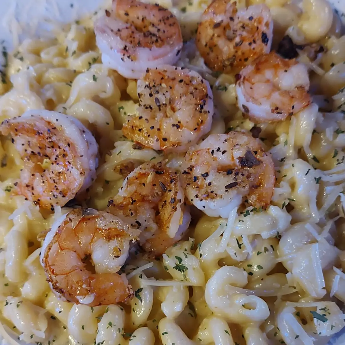 Shrimp Alfredo Pasta