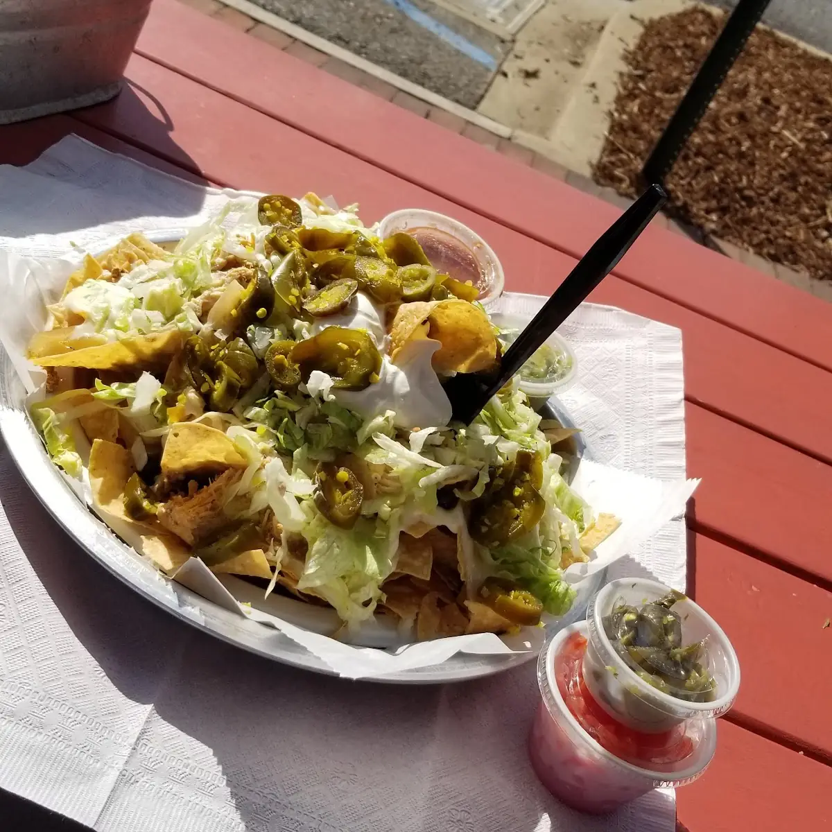 Shredded Chicken Nachos