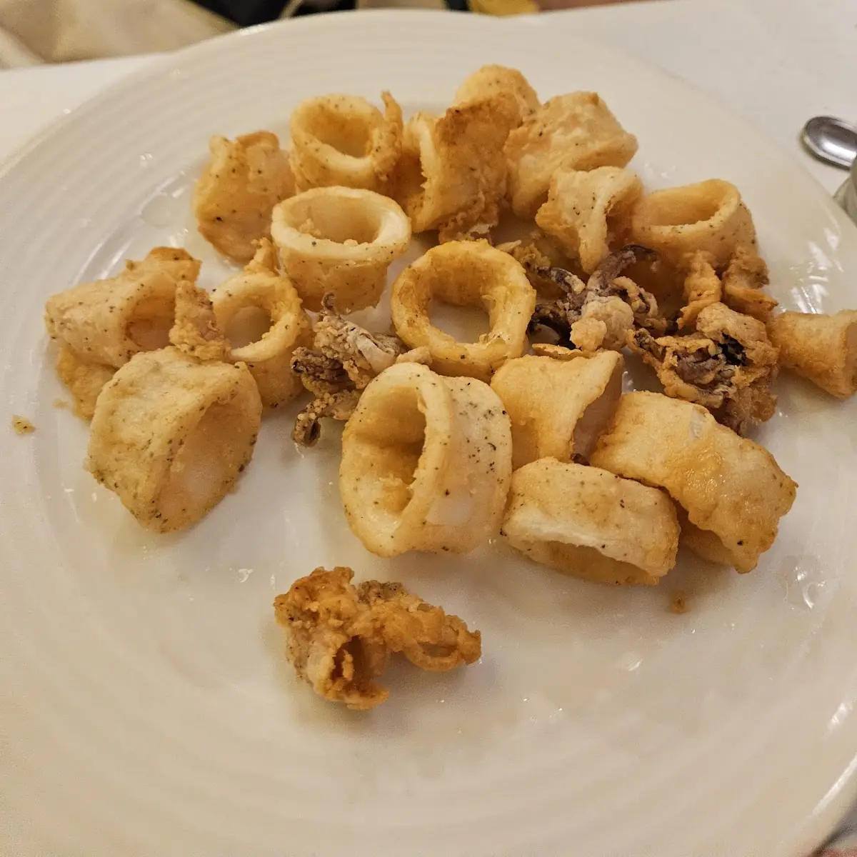 Fried Calamari Rings and Tentacles