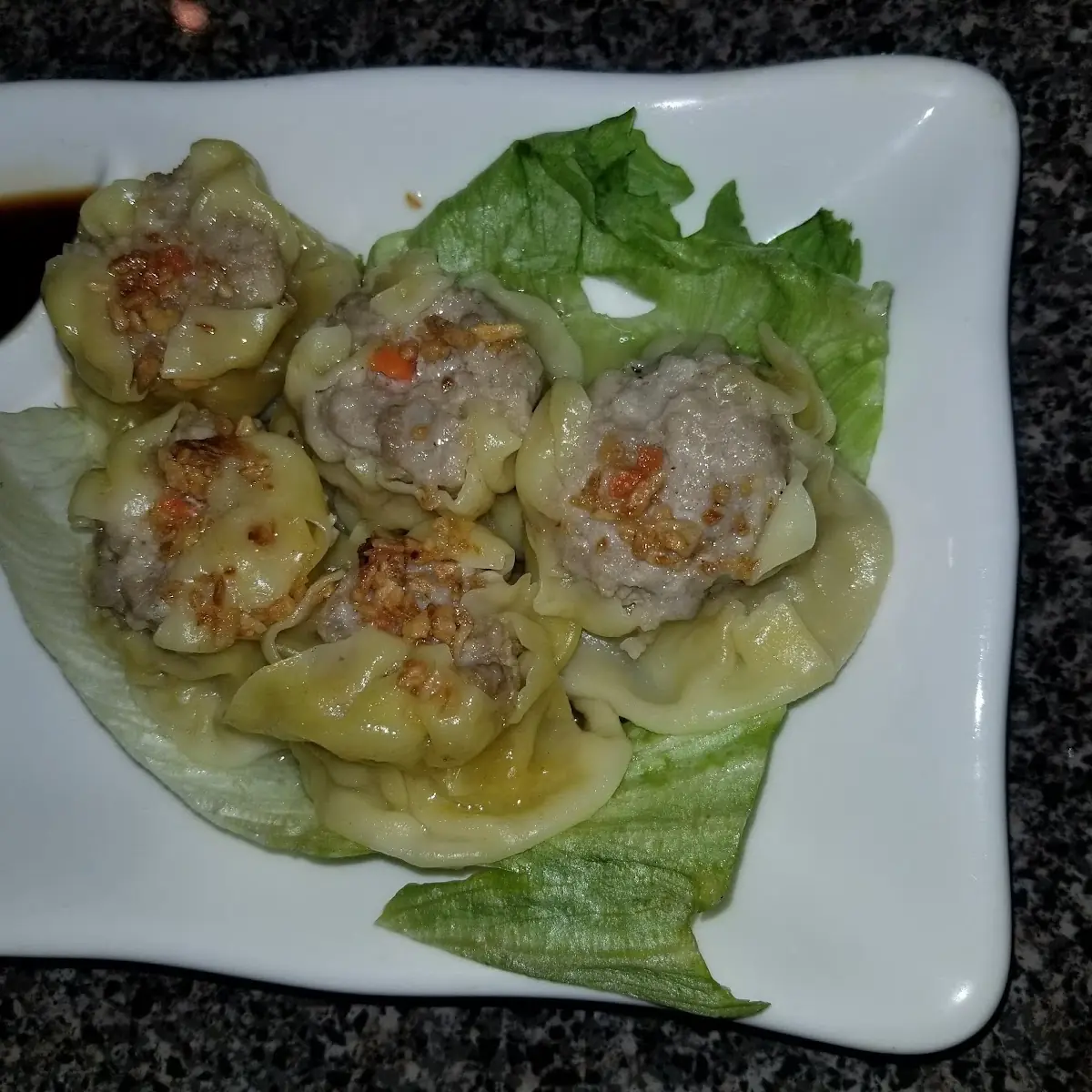 Chicken Fried Wonton