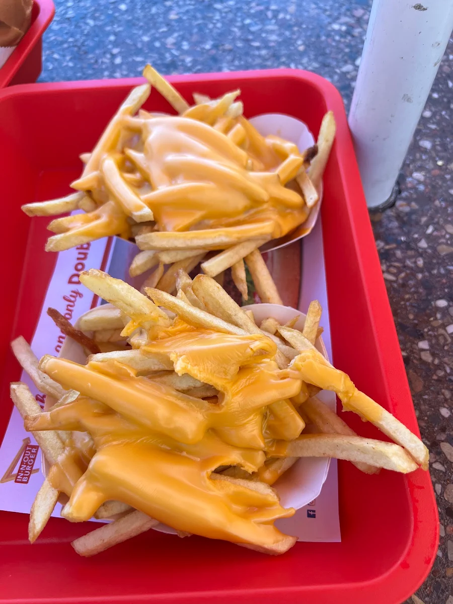 Cheese Fries