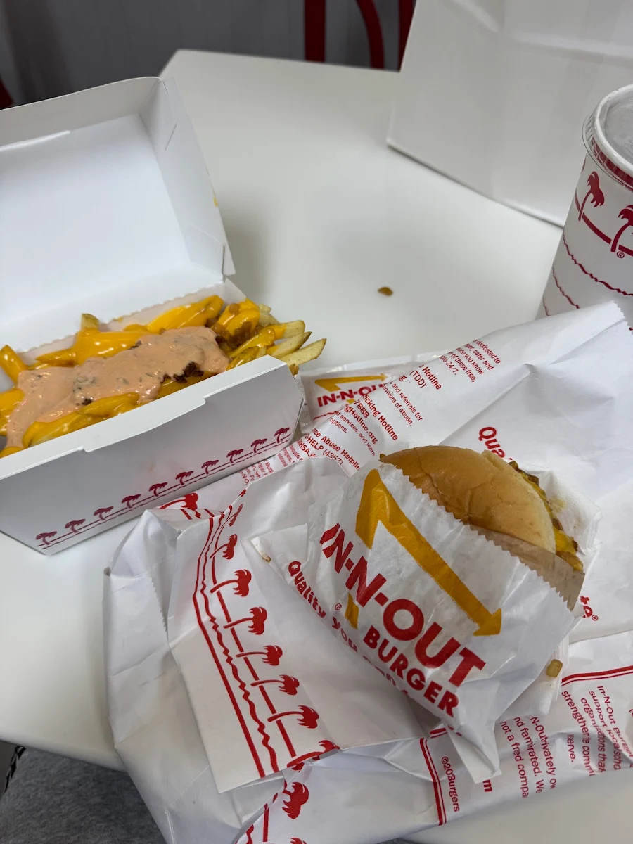 Grilled Cheese and Fries with Cheese