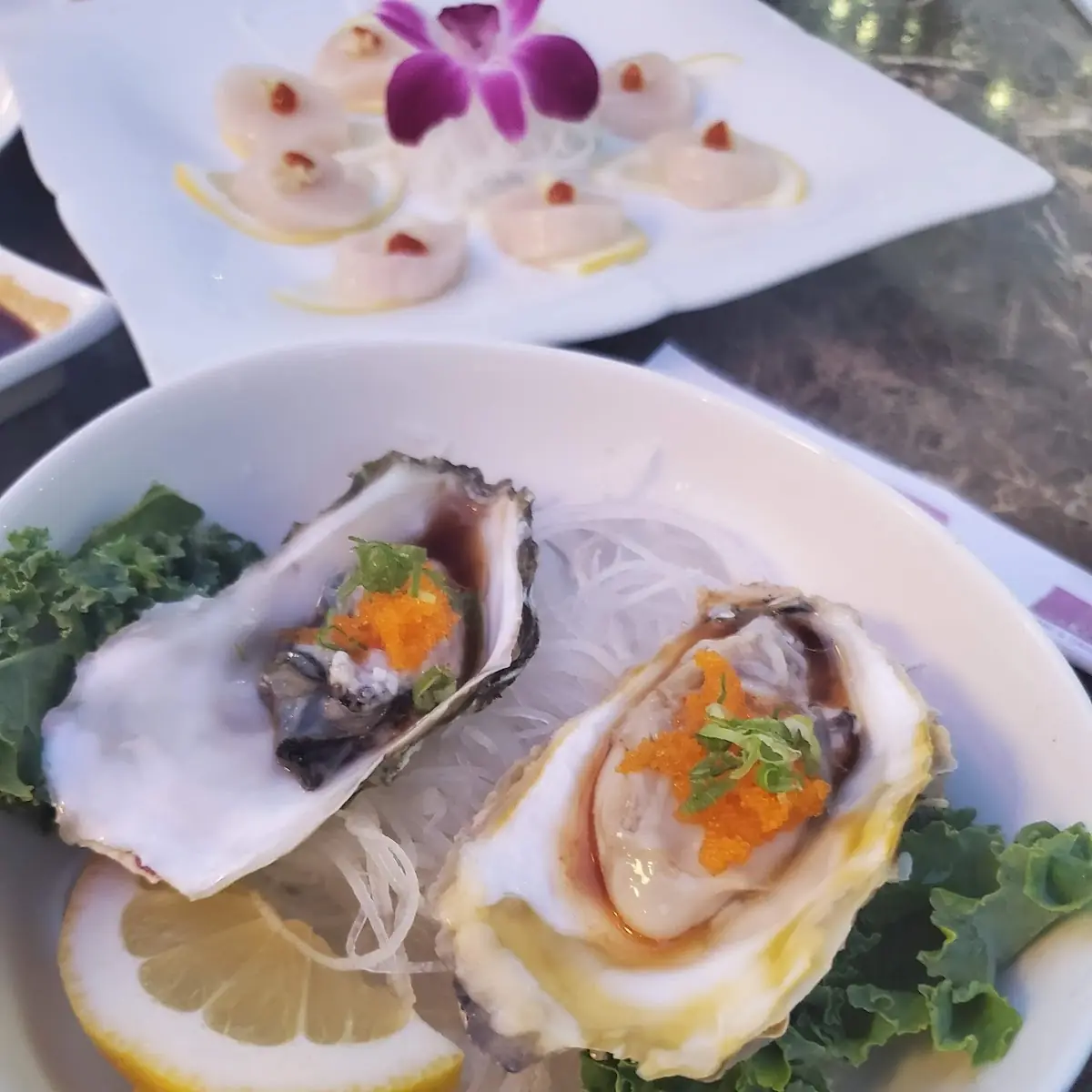 Oysters on the Half Shell