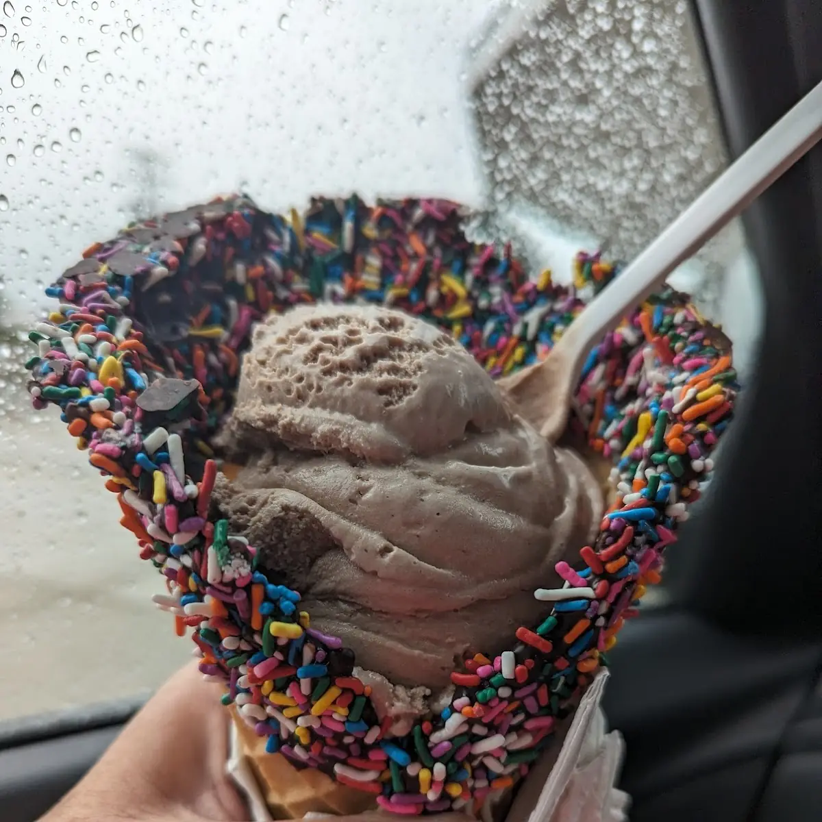Chocolate Ice Cream with Sprinkles