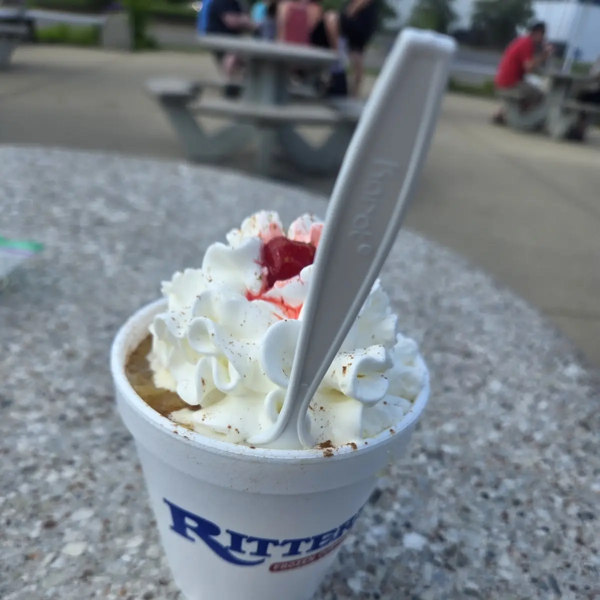 Frozen Custard Floats