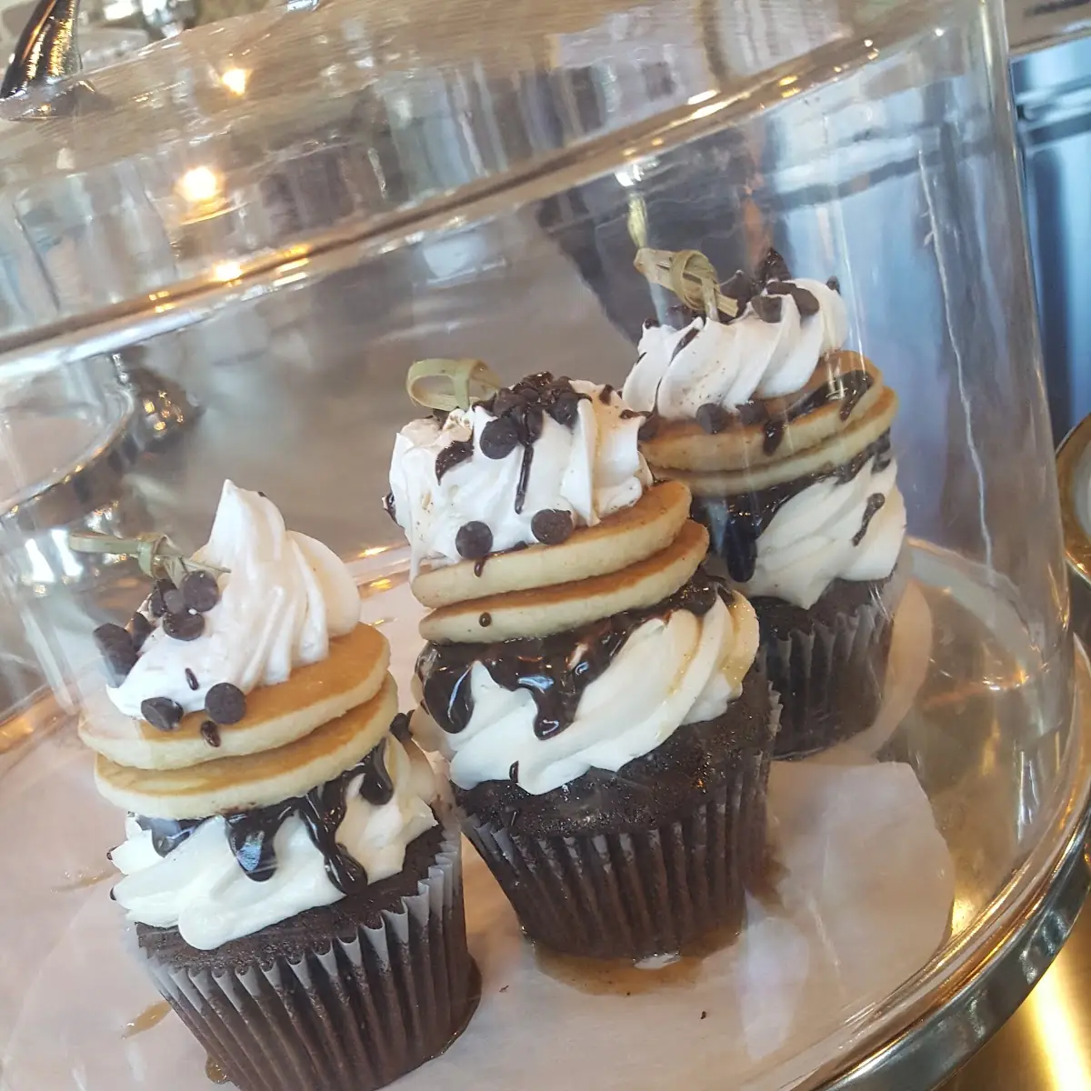 Chocolate Chip Chocolate