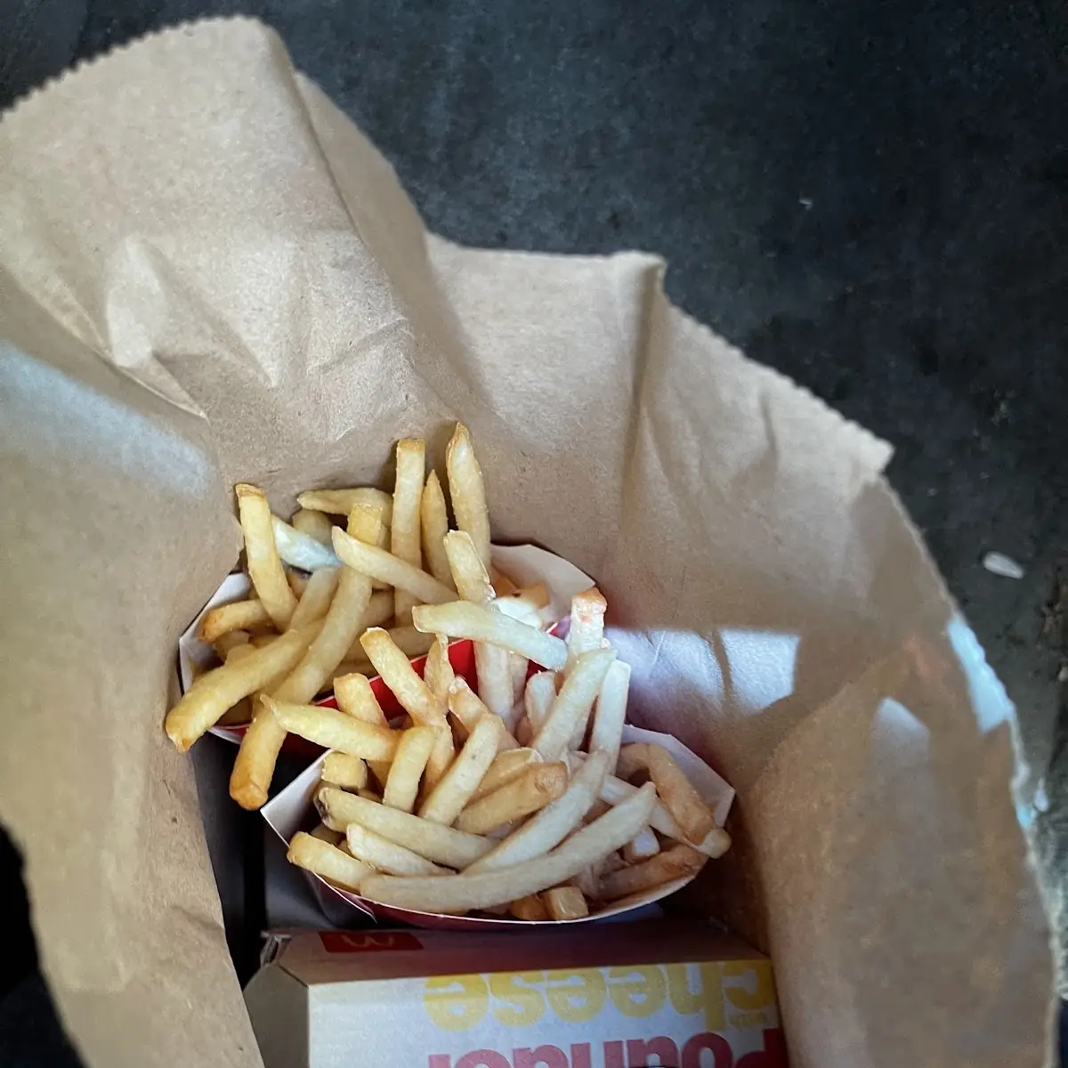 World Famous Fries
