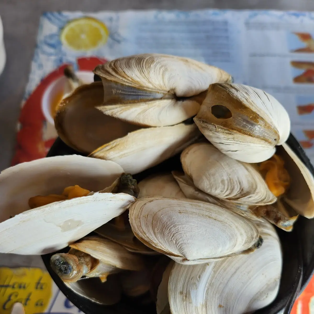 Steamed Clams