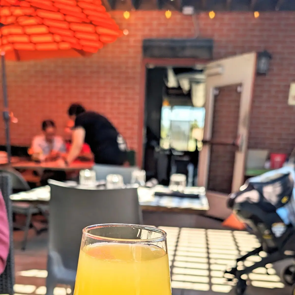 Classic Mimosa