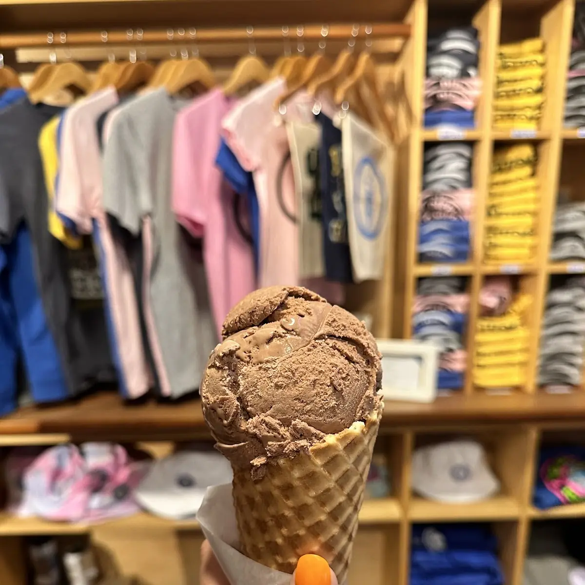 Chocolate Ice Cream