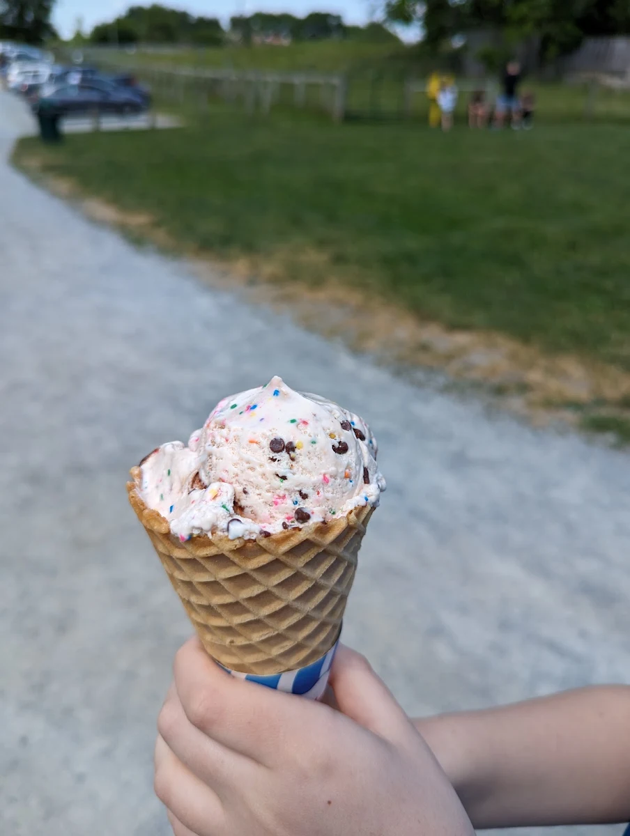 Birthday Cake Ice Cream