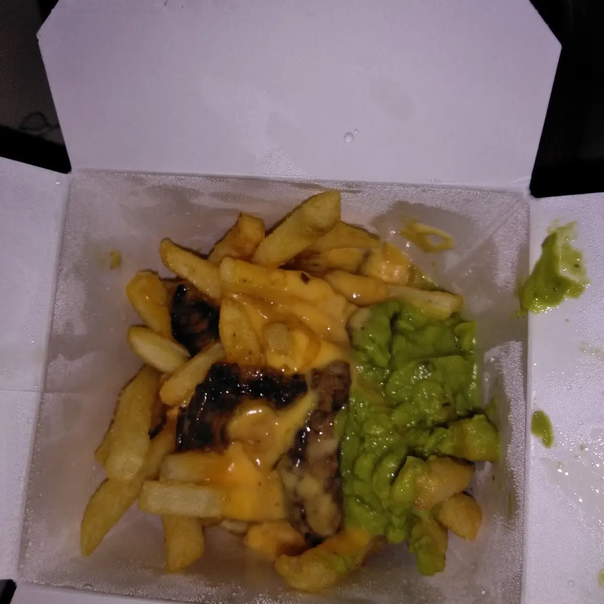 Carne Asada Fries