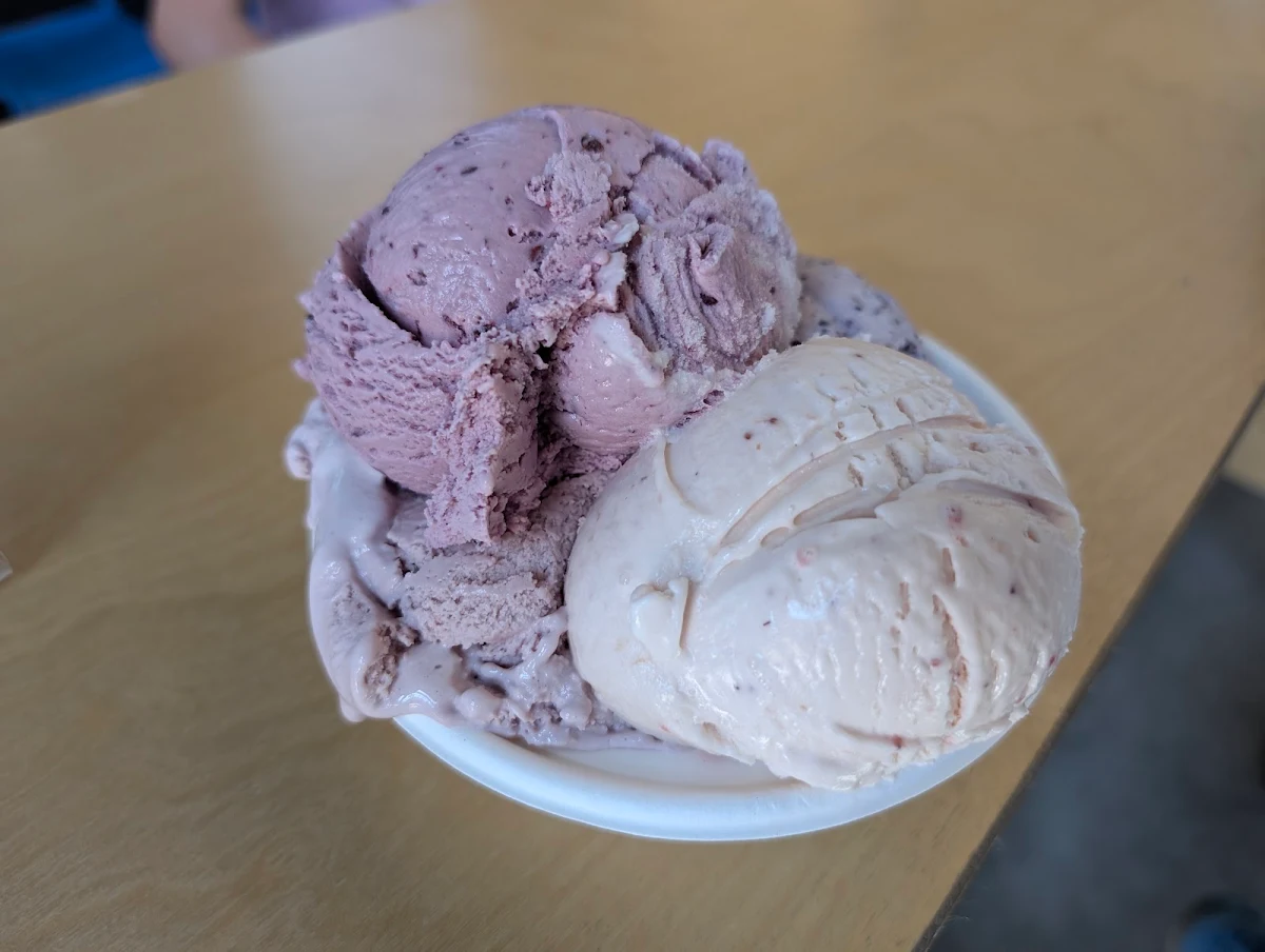 Chocolate Ice Cream