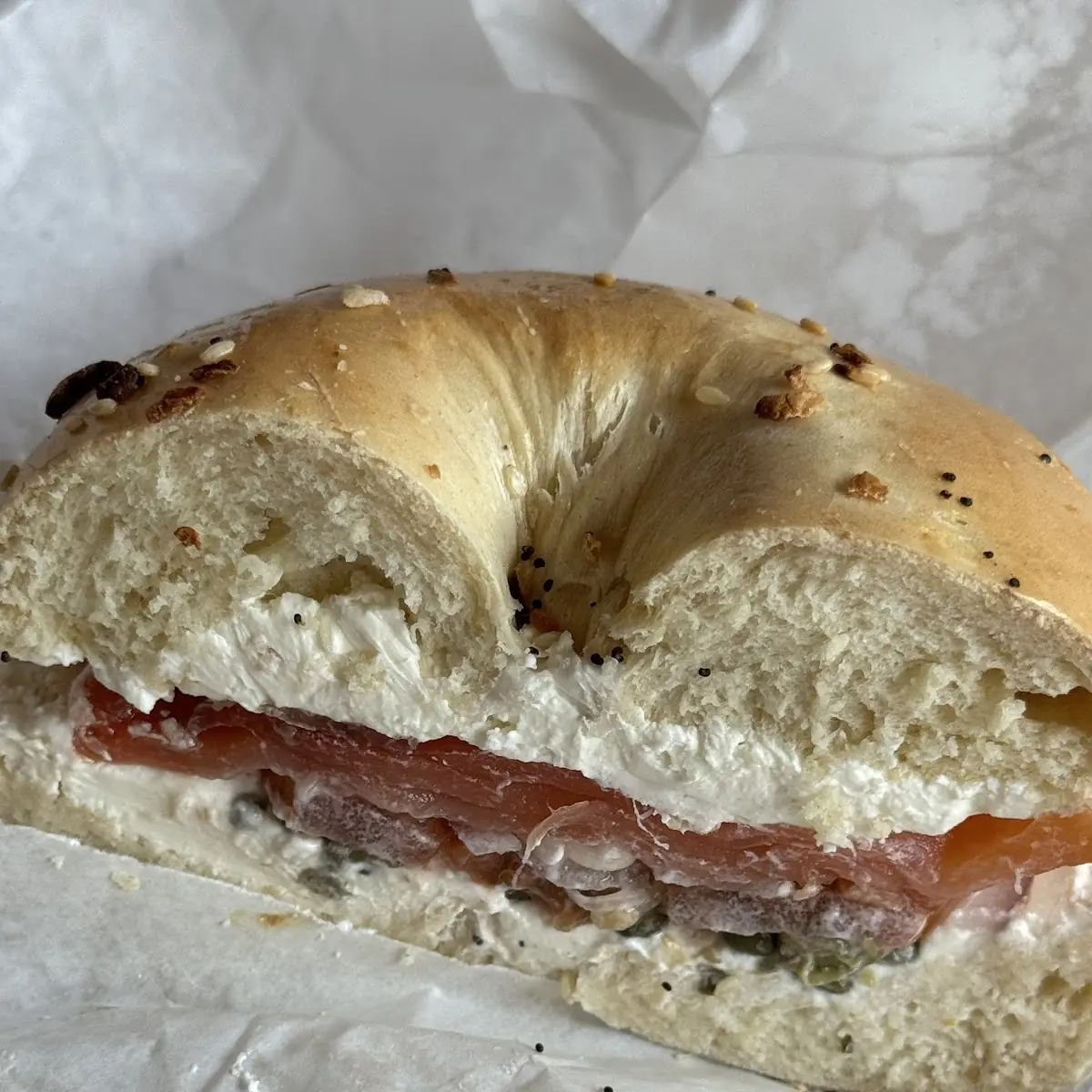 Everything Bagel with Lox Bagel