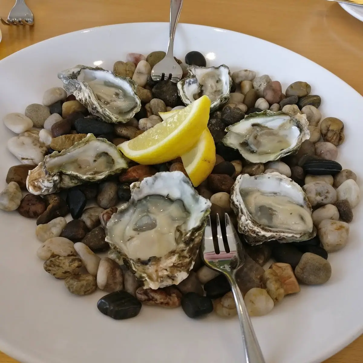 Oysters on the Half Shell
