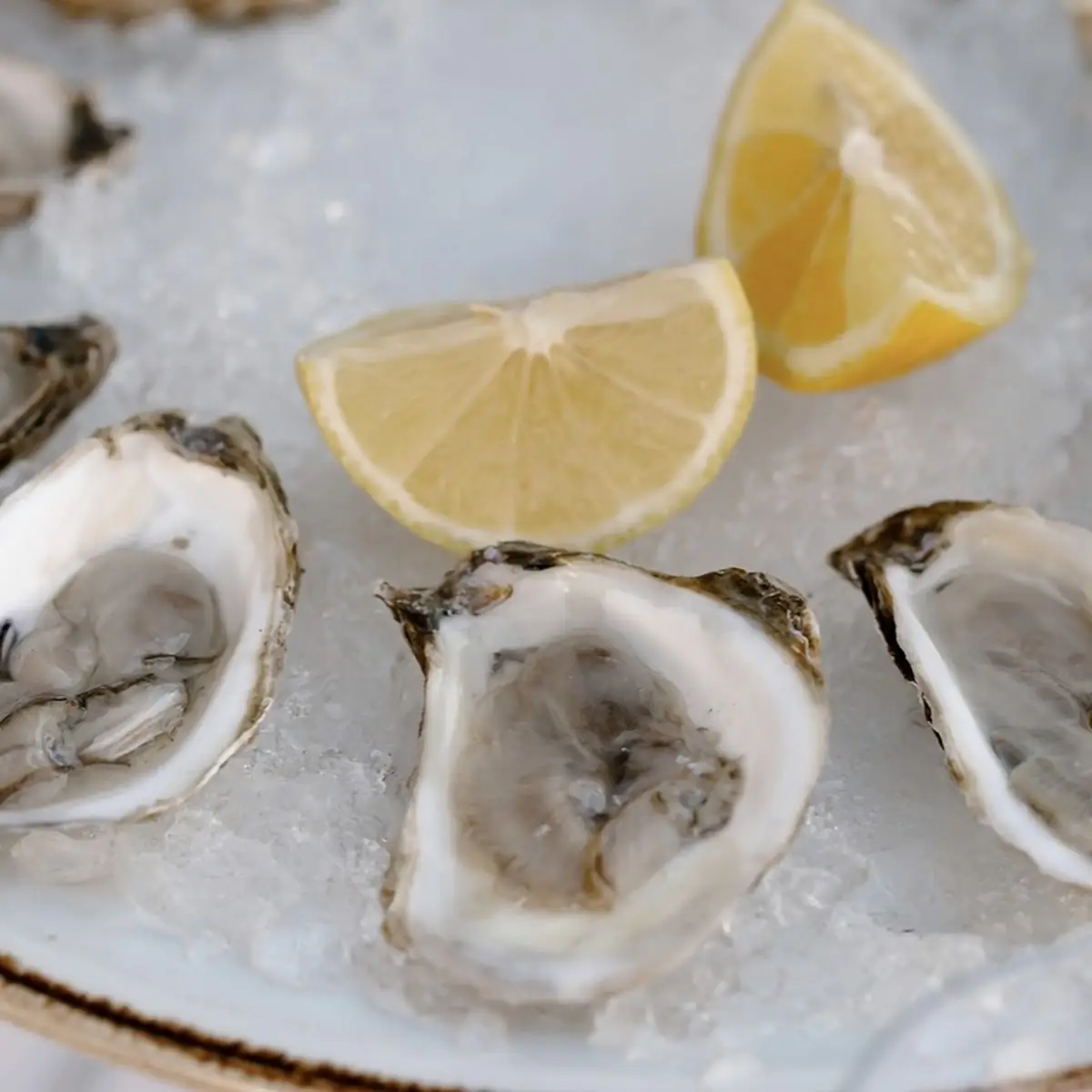 Oysters on the Half Shell