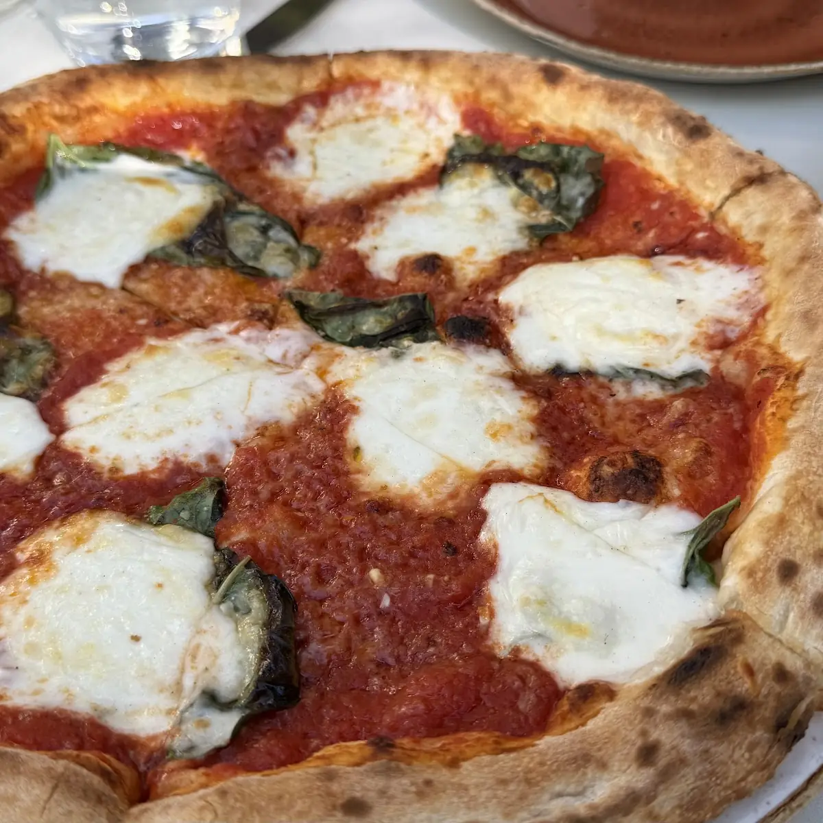Pizza Margherita