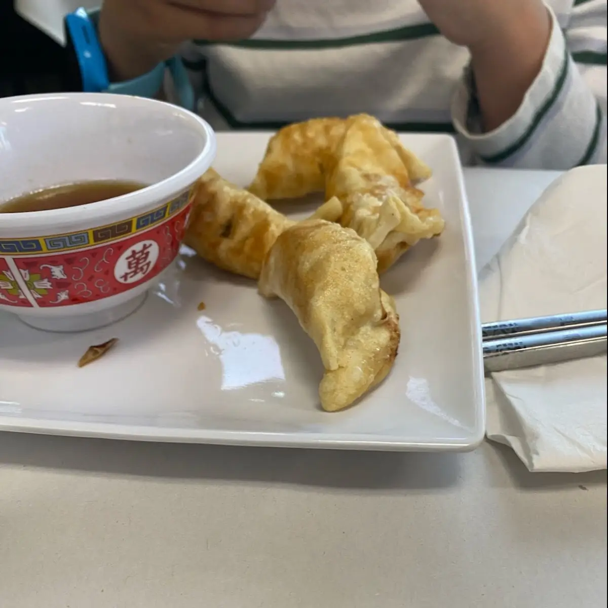 Chicken Dumplings 6